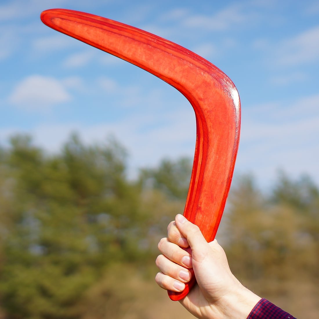 Boomerangs in Various Colors