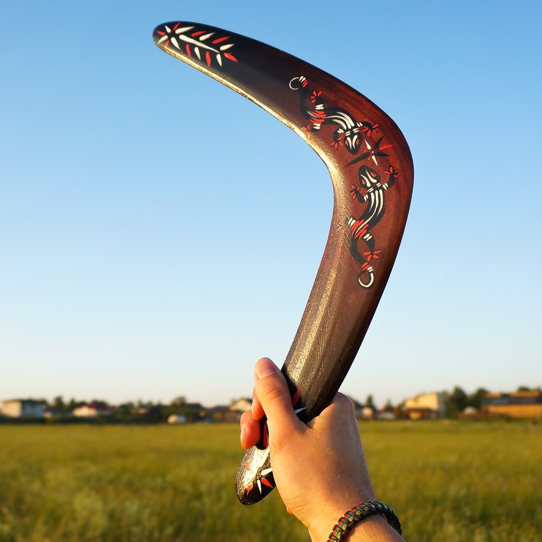 "Lizard" Boomerang