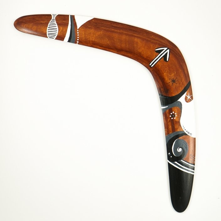 Boomerang "Warrior 2"