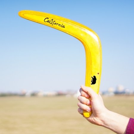 Boomerang In Legno Seagull: Fatto A Mano USA, Volo Lungo, Per Destrorsi, Colori Variabili, Attività Ricreativa