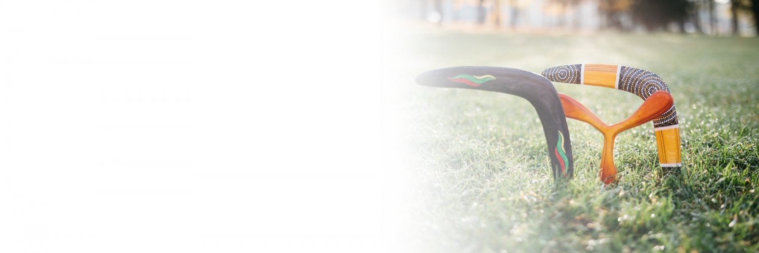 how to throw a boomerang toy boomerangs