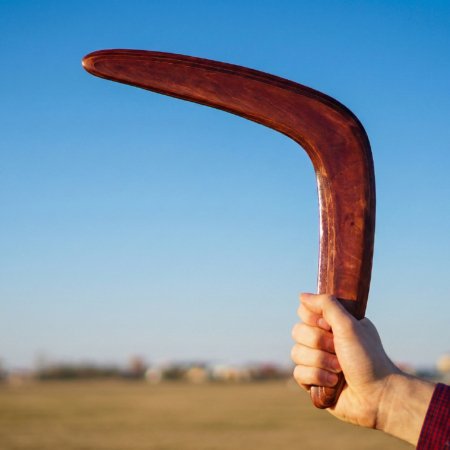 Dark Brown Cedar boomerang held up against a clear blue sky.