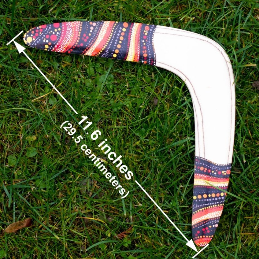 Top-down view of Golden Swallow wooden boomerang on grass with arrows showing 11.6 inch wingspan dimensions.