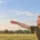 Banner illustration of a man releasing a wooden boomerang over an open grass field